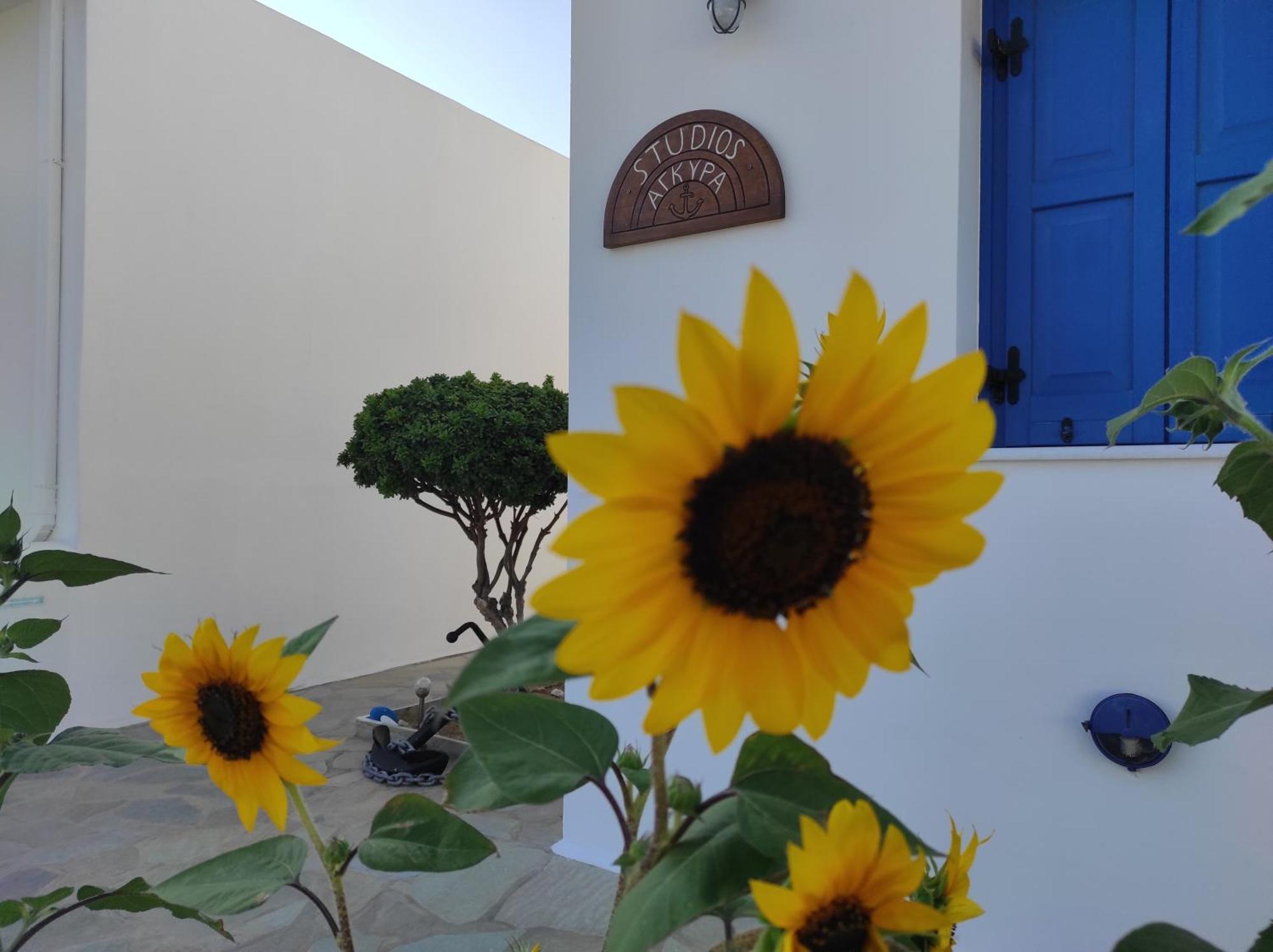 Studios Αγκυρα Livadi  Buitenkant foto