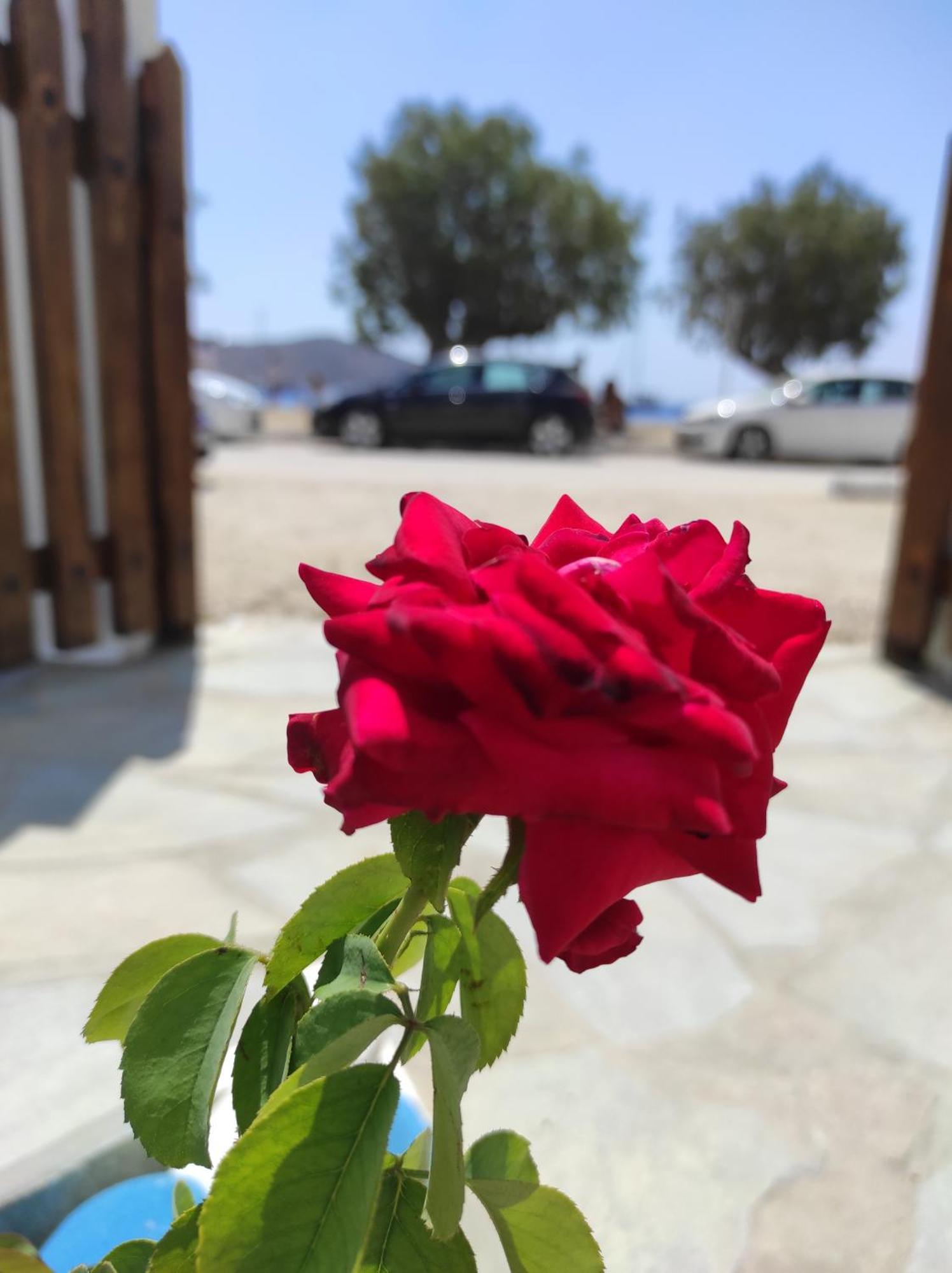 Studios Αγκυρα Livadi  Buitenkant foto